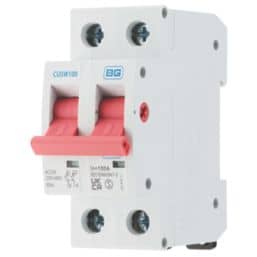 100A DP Main Switch Isolator    80187