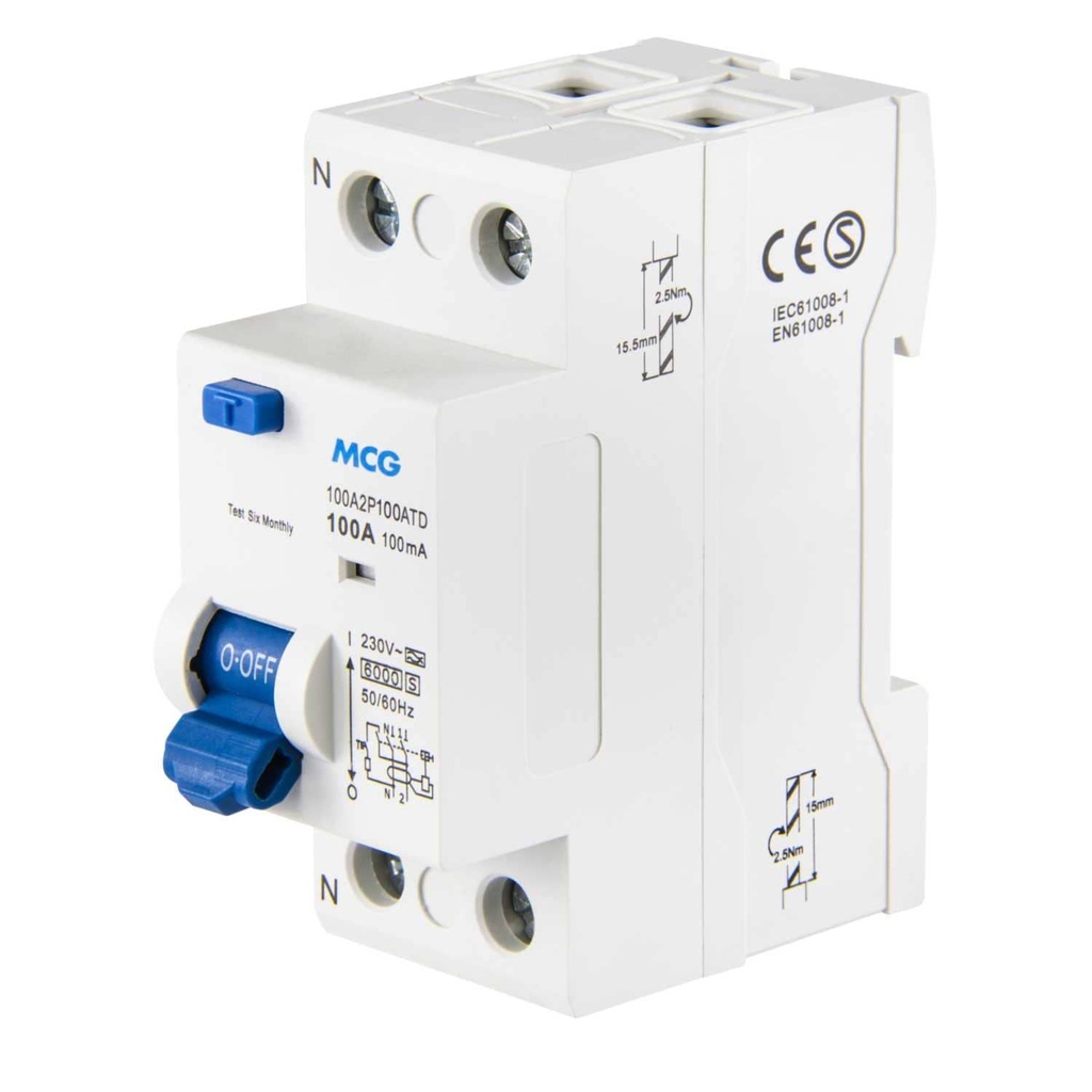 100A 2 Pole 100MA Time Delay RCD    100A2P100T