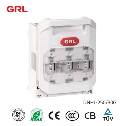 Fused Switch Disconnector ( Fixed Type Without Fuse NH1 ) DNH1-250/30G