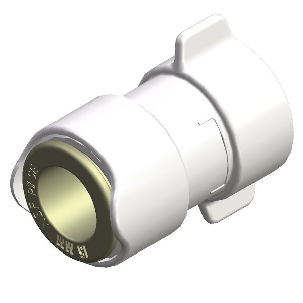 Whale Adaptor 1/2" BSP Female - WU1232