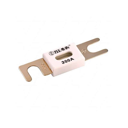 [109554] Victron ANL-fuse for 48V products 300A/80V (1 pc)   CIP142300000